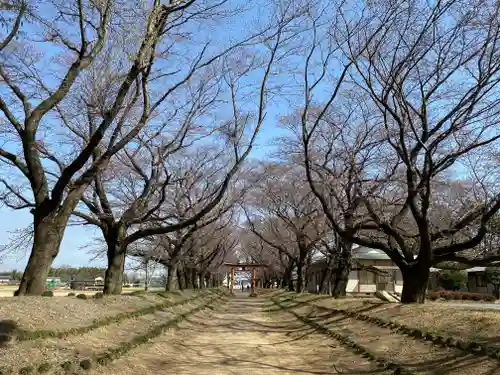 東蕗田天満社の自然