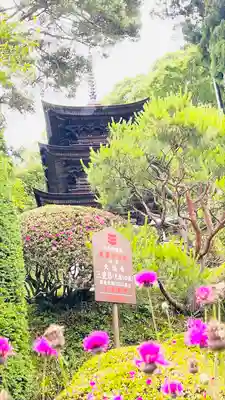 国宝 大法寺(長野県)