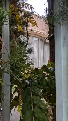 日本釈尊正法会(京都府)