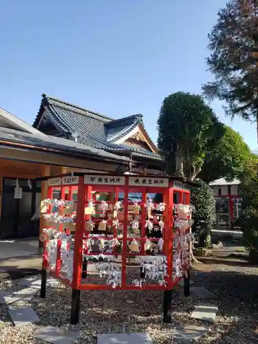 總社 和田八幡宮のおみくじ