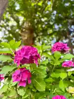 伊達神社(北海道)