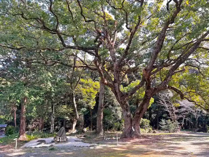 曽許乃御立神社の自然