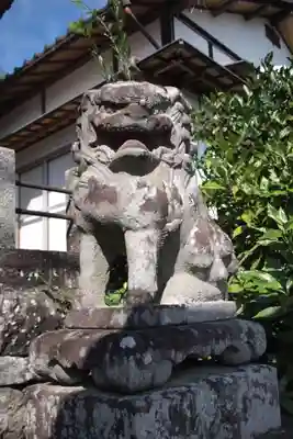 若宮八幡宮の狛犬