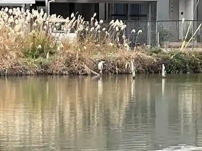 春日神社(滋賀県)