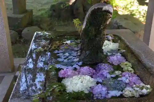 神炊館神社 ⁂奥州須賀川総鎮守⁂の手水