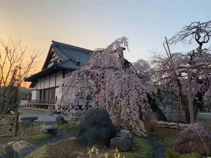 西光院(浄楽寺)の自然