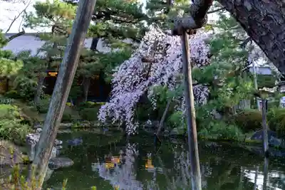 平安神宮(京都府)