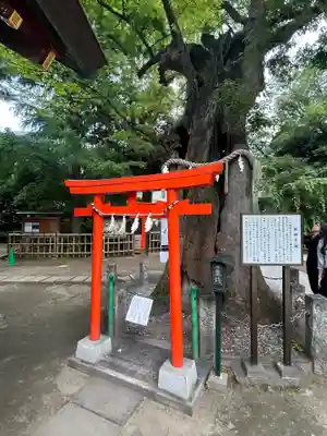 新田神社(東京都)