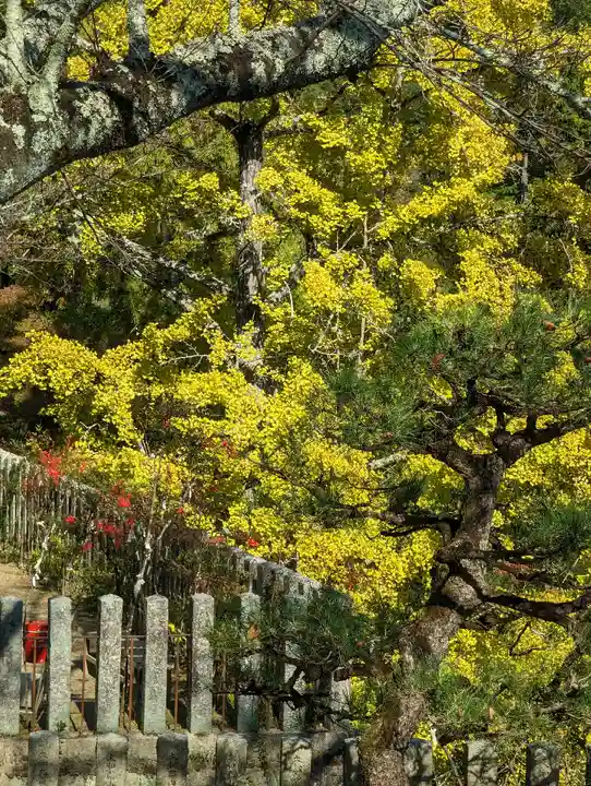 松尾寺(奈良県)
