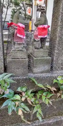 猿江神社の狛犬