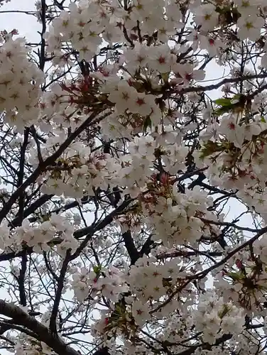 刺田比古神社(和歌山県)