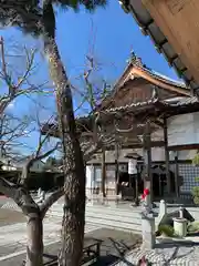 大信寺の本殿