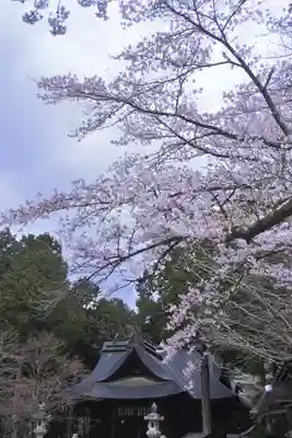 冨士御室浅間神社(山梨県)