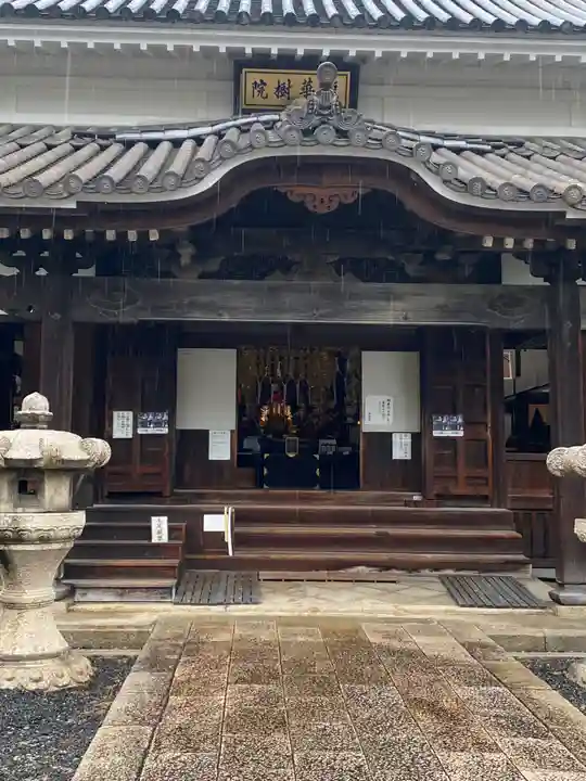 國前寺の本殿・本堂