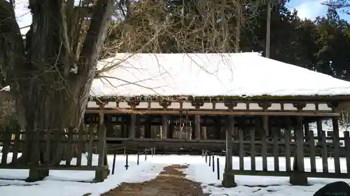 新宮熊野神社の本殿・本堂