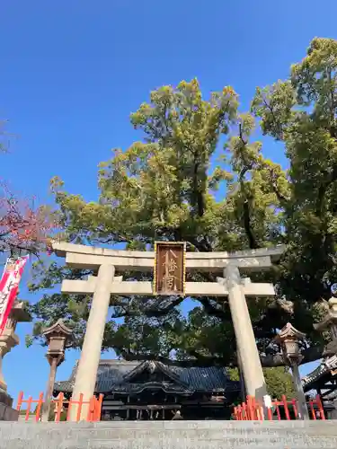 百舌鳥八幡宮の鳥居