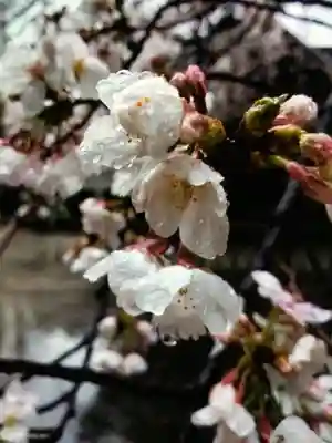 熊野神社(東京都)