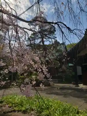 龍光寺(東京都)