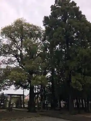 平川神明宮のその他建物