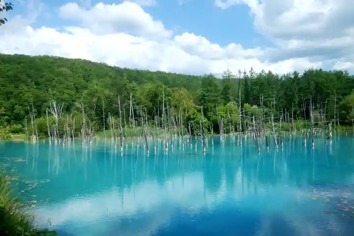 美瑛神社の周辺