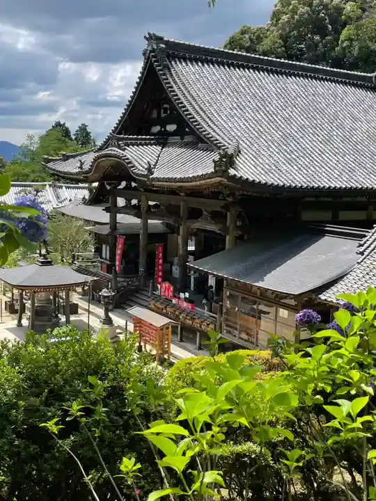 岡寺(龍蓋寺)(奈良県)