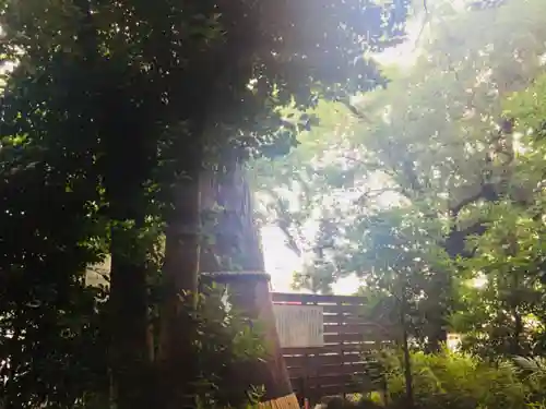 鎮守氷川神社の自然