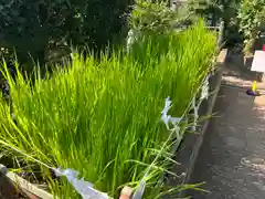 横浜御嶽神社(神奈川県)