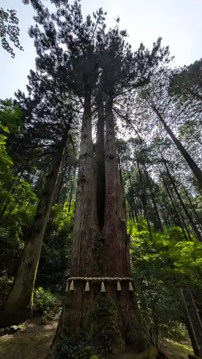御岩神社(茨城県)