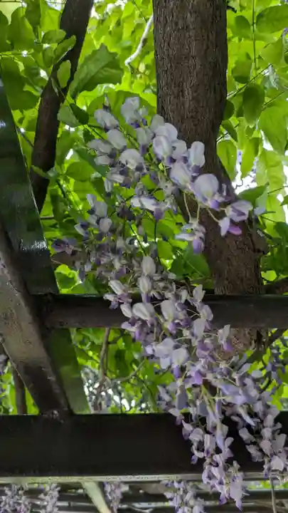 手稲神社(北海道)