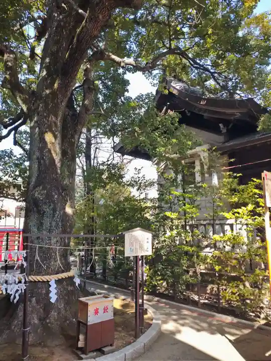 溝口神社(神奈川県)