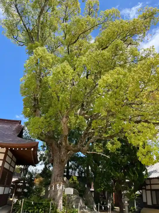 和貴宮神社(京都府)