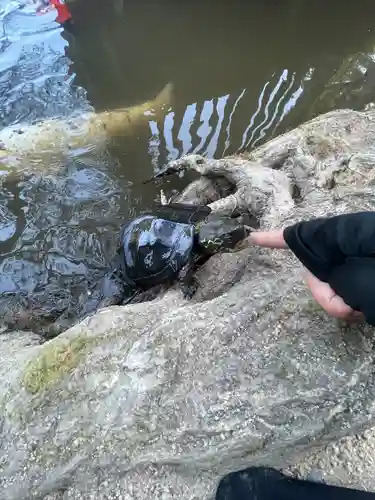 極楽寺(広島県)