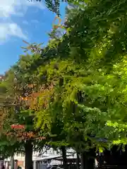 千住神社(東京都)