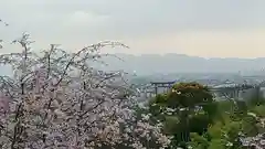 大神神社の景色