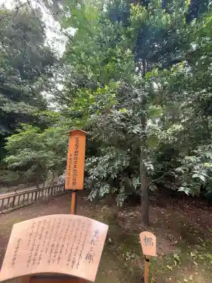 寒川神社の{uncategorized: "未分類", other: "その他", undefined: "問題あり", building: "その他建物", grave: "お墓", sacred_gate: "鳥居", guardian: "狛犬", statue: "像", buddha: "仏像", history: "歴史", nature: "自然", garden: "庭園", animal: "動物", pagoda: "塔", temizu: "手水舎", mountain_gate: "山門・神門", sanctuary: "本殿・本堂", subordinate: "末社・摂社", art: "芸術", scenery: "景色", jizo: "地蔵", ema: "絵馬", goshuin: "御朱印", omikuji: "おみくじ", items: "授与品その他", amulet: "お守り", goshuincho: "御朱印帳", eats: "食事", festival: "お祭り", votive_dance: "神楽", shichigosan: "七五三参", wedding: "結婚式", experience: "体験その他", initially: "初詣", around: "周辺", anti_infection: "感染症対策"}