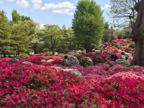 根津神社(東京都)