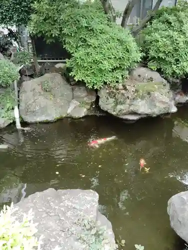 東光寺別院桜ヶ池不動院(東京都)