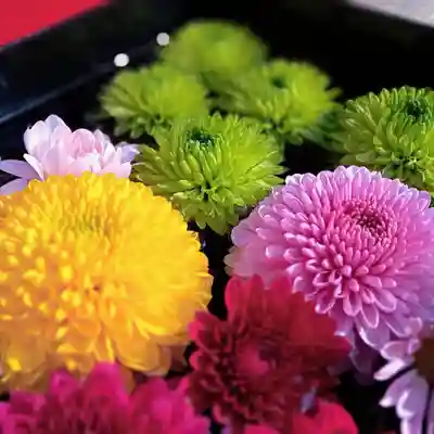 阿邪訶根神社の手水舎