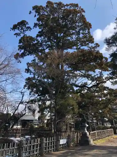 日高神社の自然