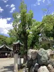 真清田神社の建物その他