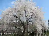 足羽神社(福井県)