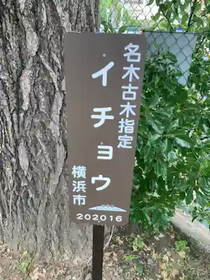 町屋神社(神奈川県)