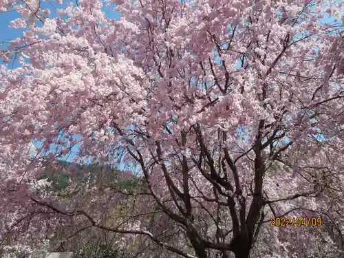  久延彦神社(奈良県)