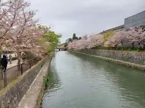 平安神宮の周辺