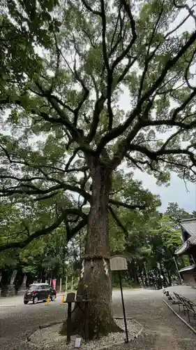 福母八幡宮(佐賀県)