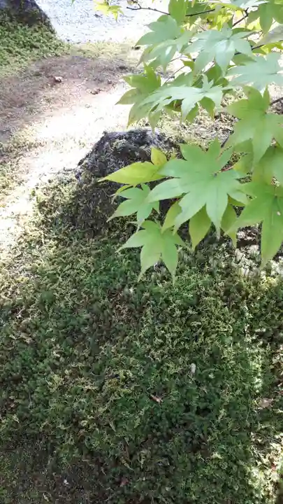 円通院(宮城県)