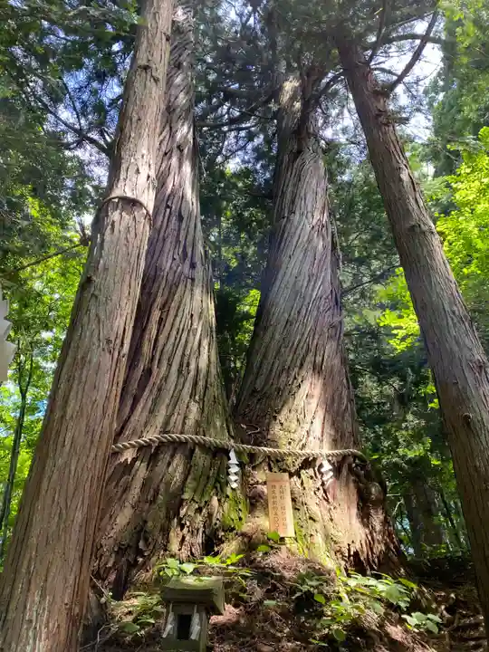 戸隠神社火之御子社(長野県)