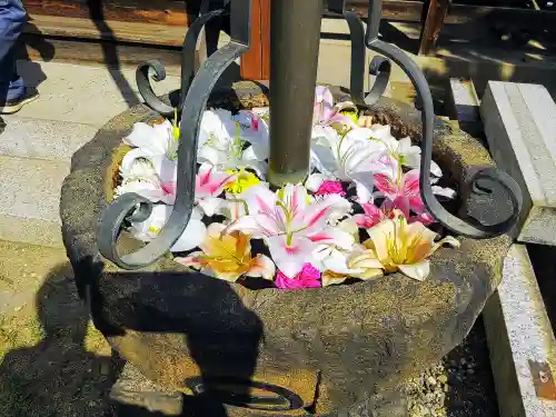 泉柳寺の手水舎