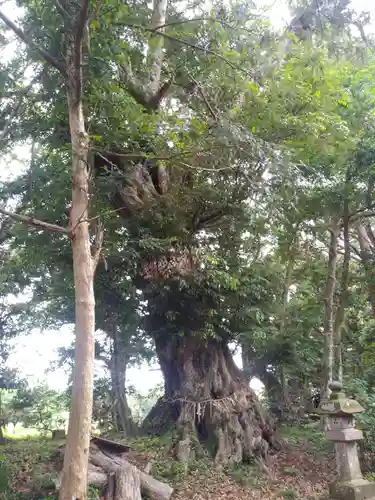 鉾山神社の自然