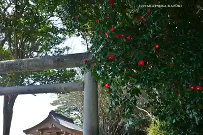 酒列磯前神社(茨城県)